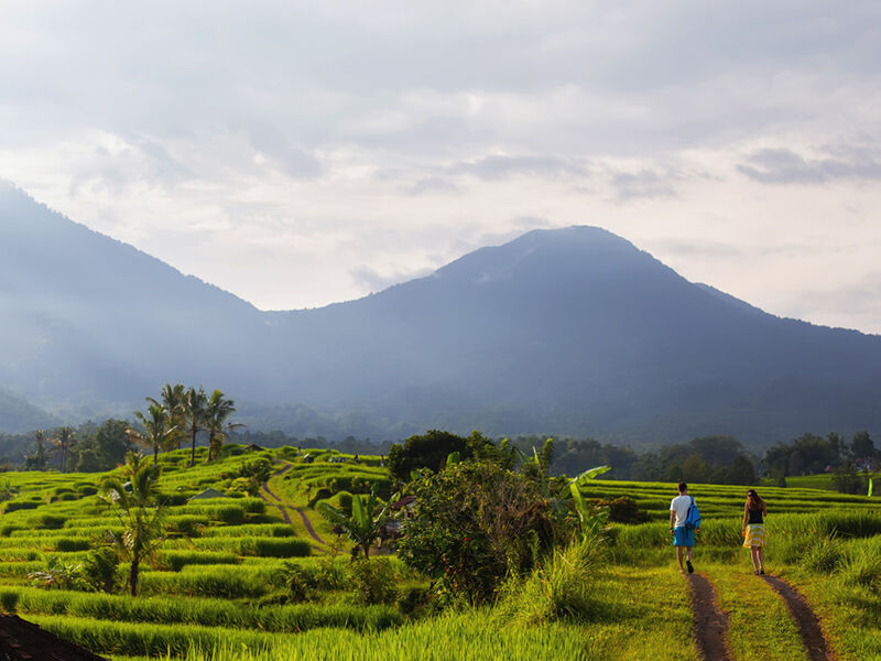 Görkemli Tropikal Ada Bali & Ubud 5 Gece - Singapur Hava Yolları ile (2026 Kış Dönemi)