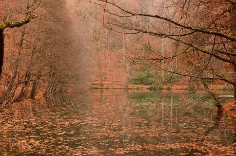 YEDİGÖLLER TURU/İstanbul Çıkışlı