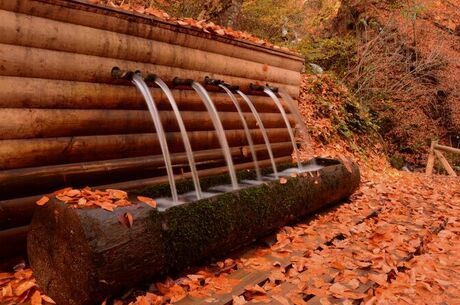 YEDİGÖLLER TURU/İstanbul Çıkışlı