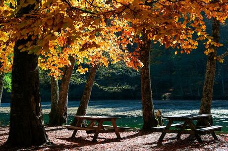 YEDİGÖLLER TURU/İstanbul Çıkışlı