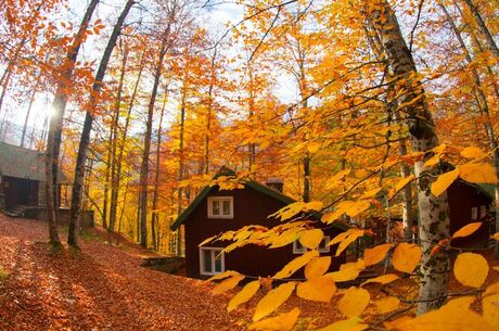 YEDİGÖLLER TURU/İstanbul Çıkışlı