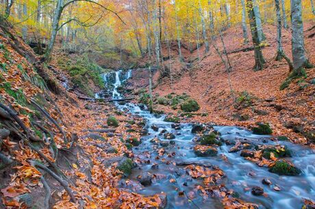 YEDİGÖLLER TURU/İstanbul Çıkışlı