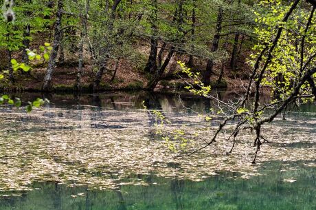 YEDİGÖLLER TURU/İstanbul Çıkışlı