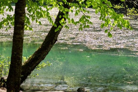 YEDİGÖLLER TURU/İstanbul Çıkışlı