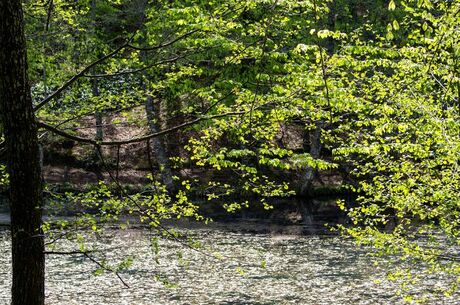 YEDİGÖLLER TURU/İstanbul Çıkışlı