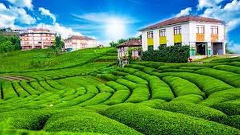 Karadeniz Yaylalar Ve Batum Turu/ 3 Gece  Otel Konaklamalı  / İstanbul ve Sakarya Kalkışlı