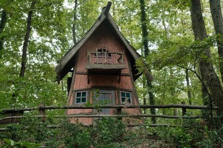 Maşukiye Cam Teras Ormanya Hobbit Evleri/ Günübirlik/ İstanbul Kalkışlı